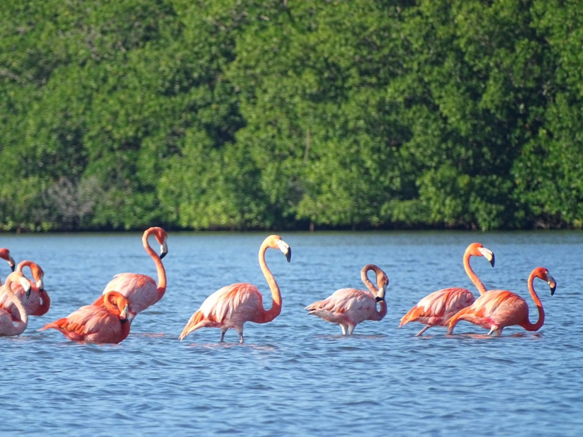 Varadero & Cienfuegos